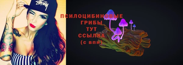 скорость Верхний Тагил