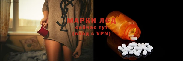 твердый Володарск