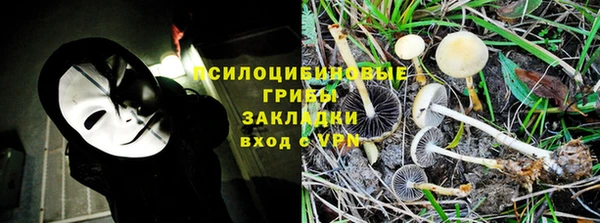 a pvp Верея